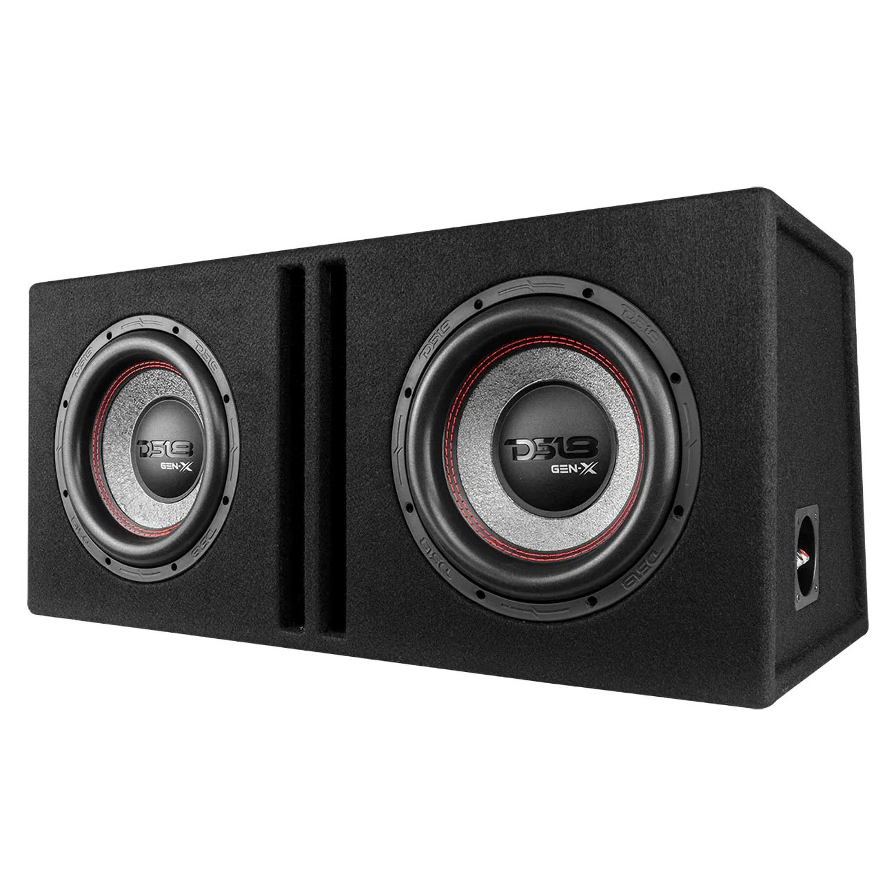 DS18 Dual 10″ Subwoofer Ported Enclosure